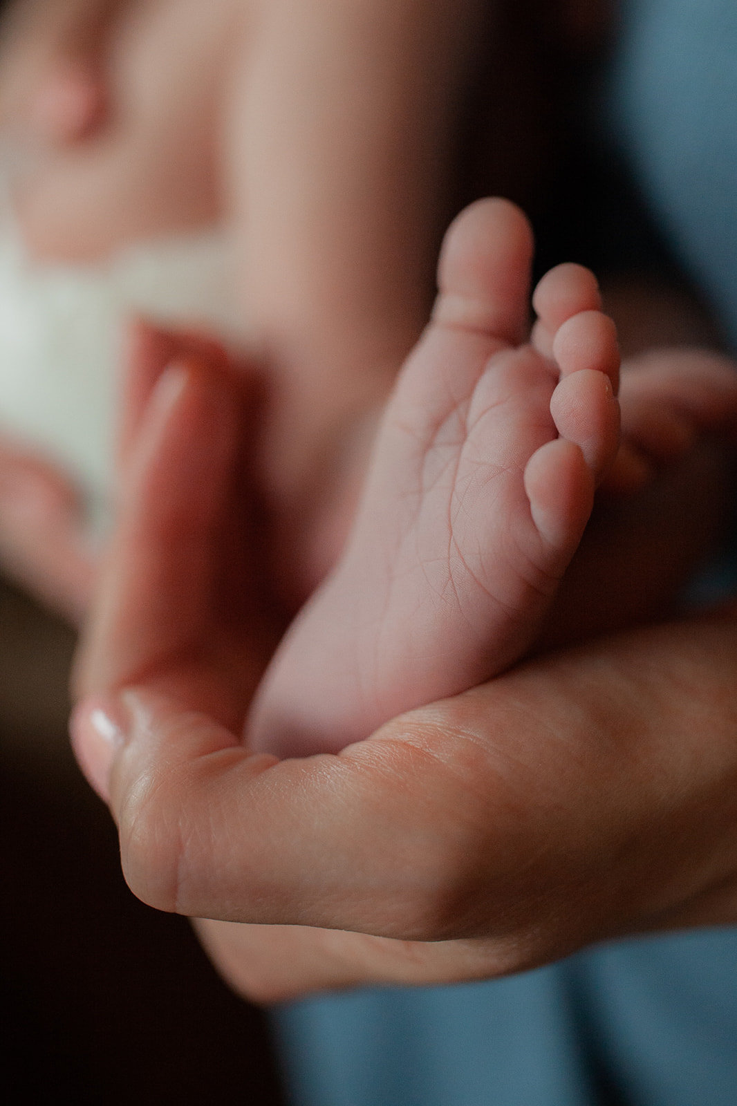 11DC-In-Home-Newborn-Session-Family-Lifestyle