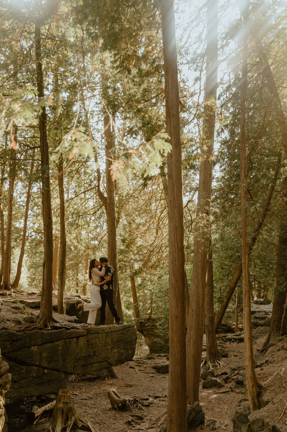 forest-engagement-112