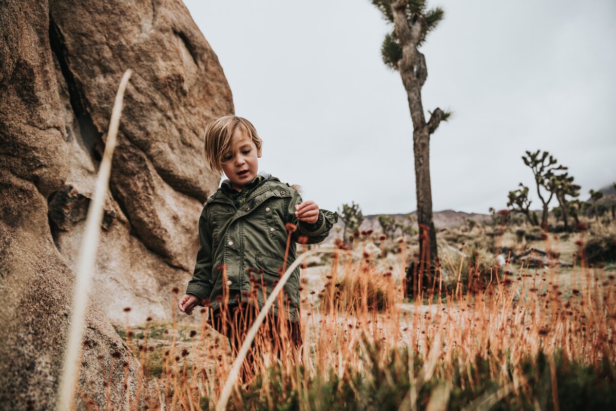 nathan-dumlao-zYJI80yockw-unsplash