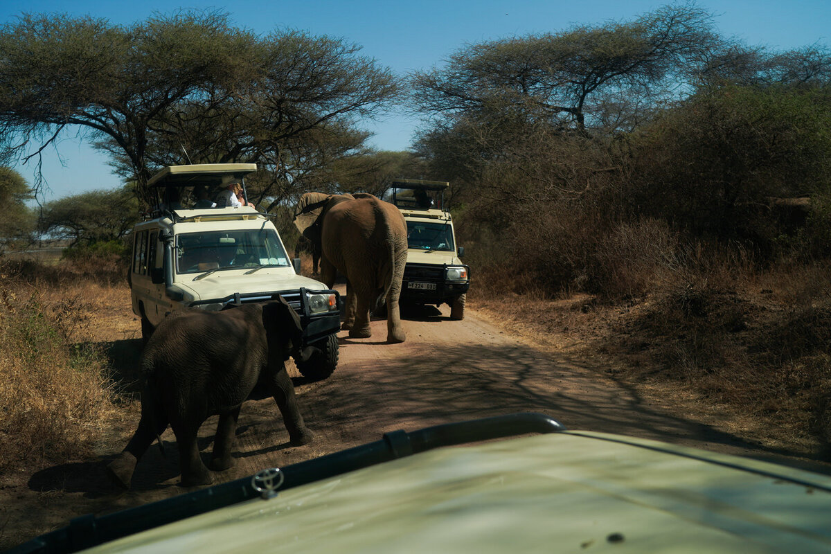 luxury-vacation-photographer-kirsten-lewis-arusha-tanzania051