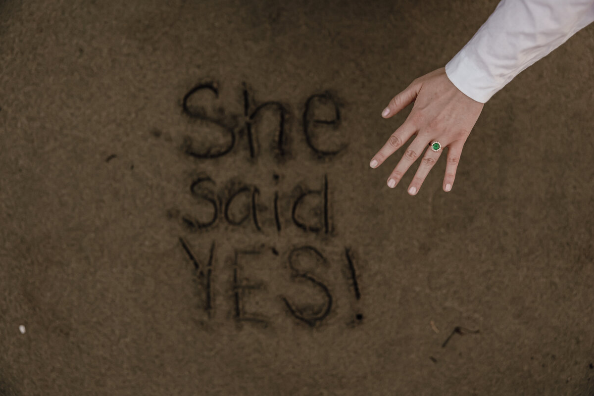 Lizz&NateEngagement-68