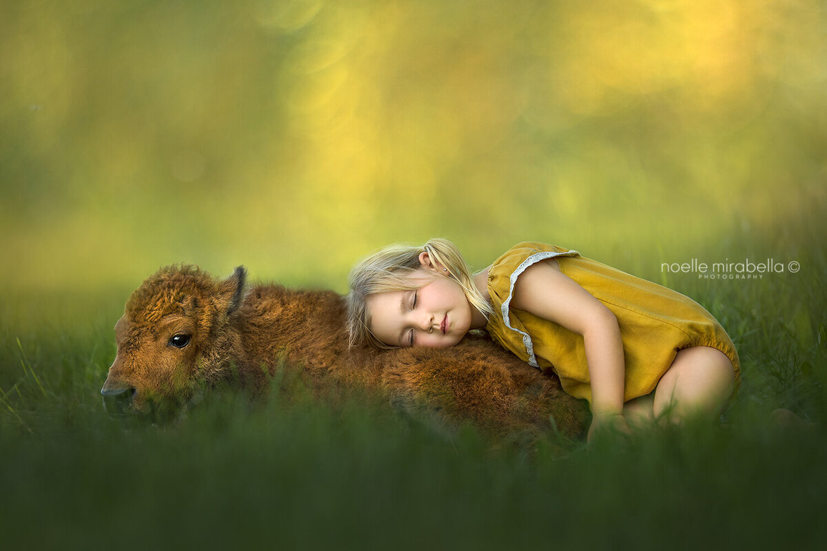Child snuggling baby bison outside.