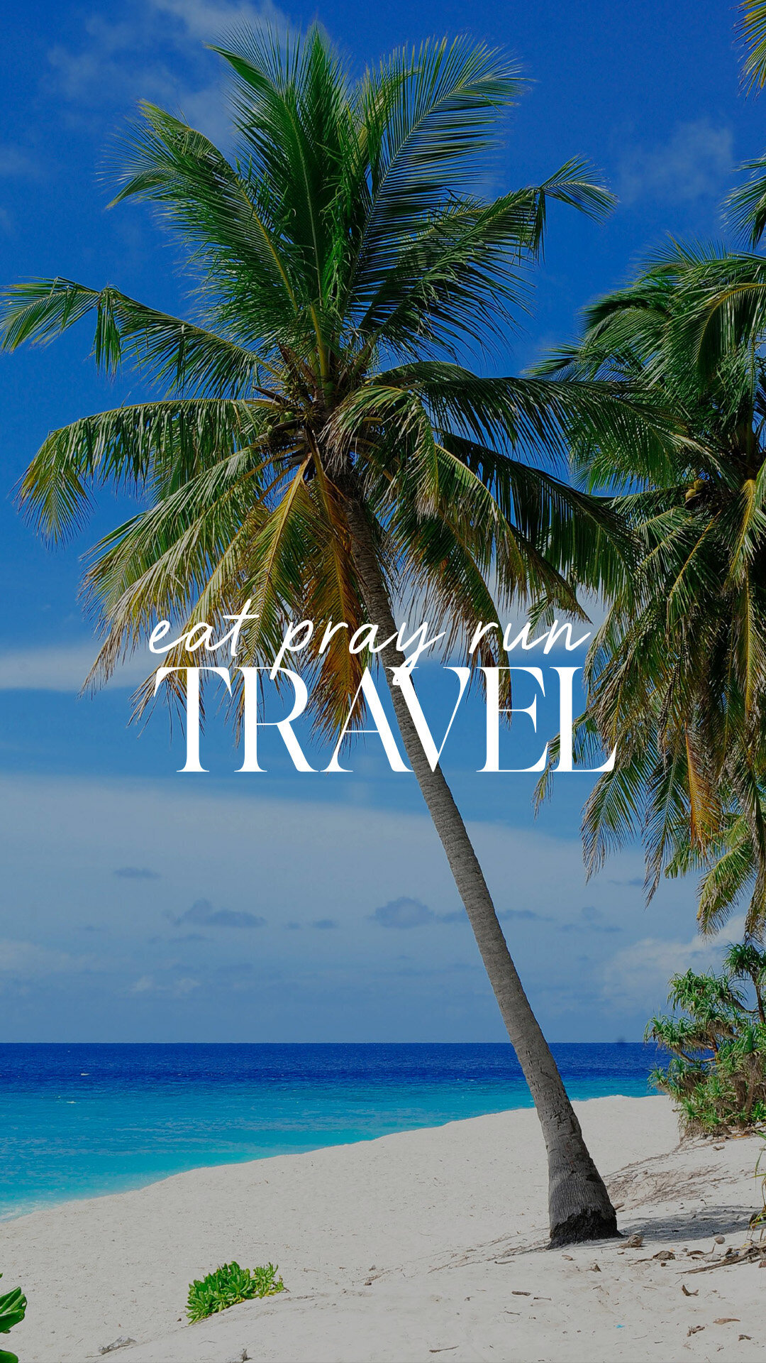 Travel Planner Logo Design-1