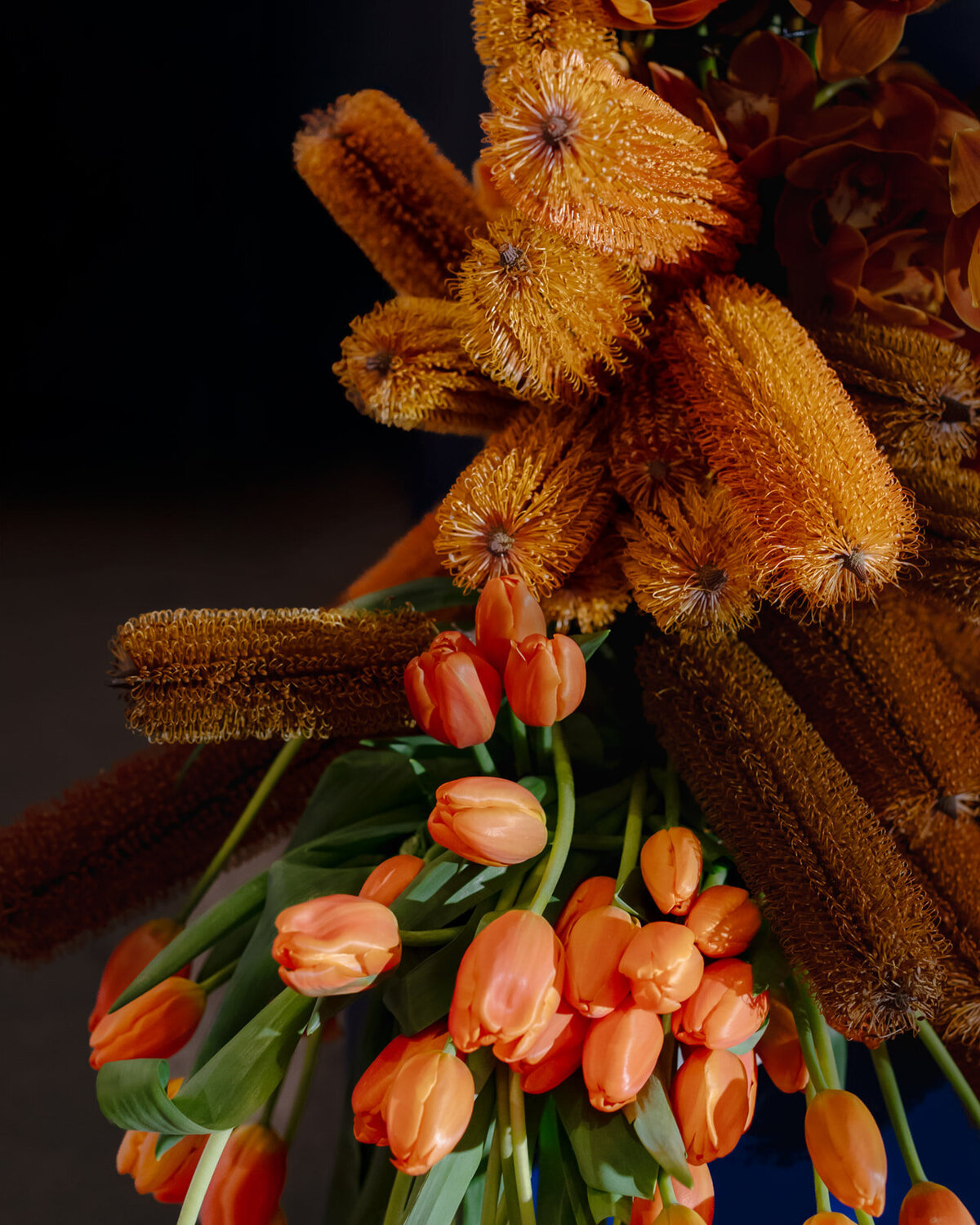 Cameron & Emanuel-871_websize