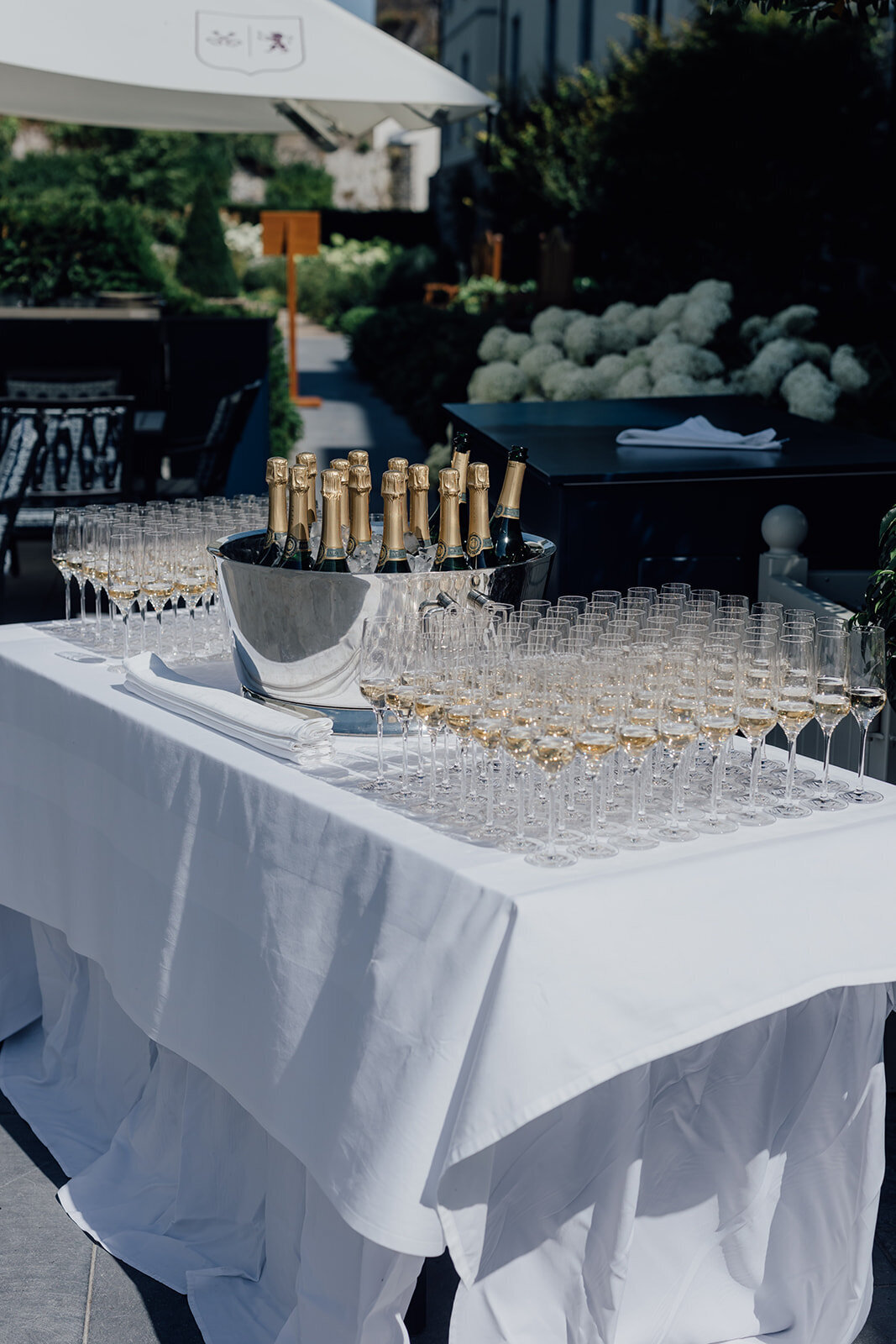 Cashel-palace-wedding-photographer_020