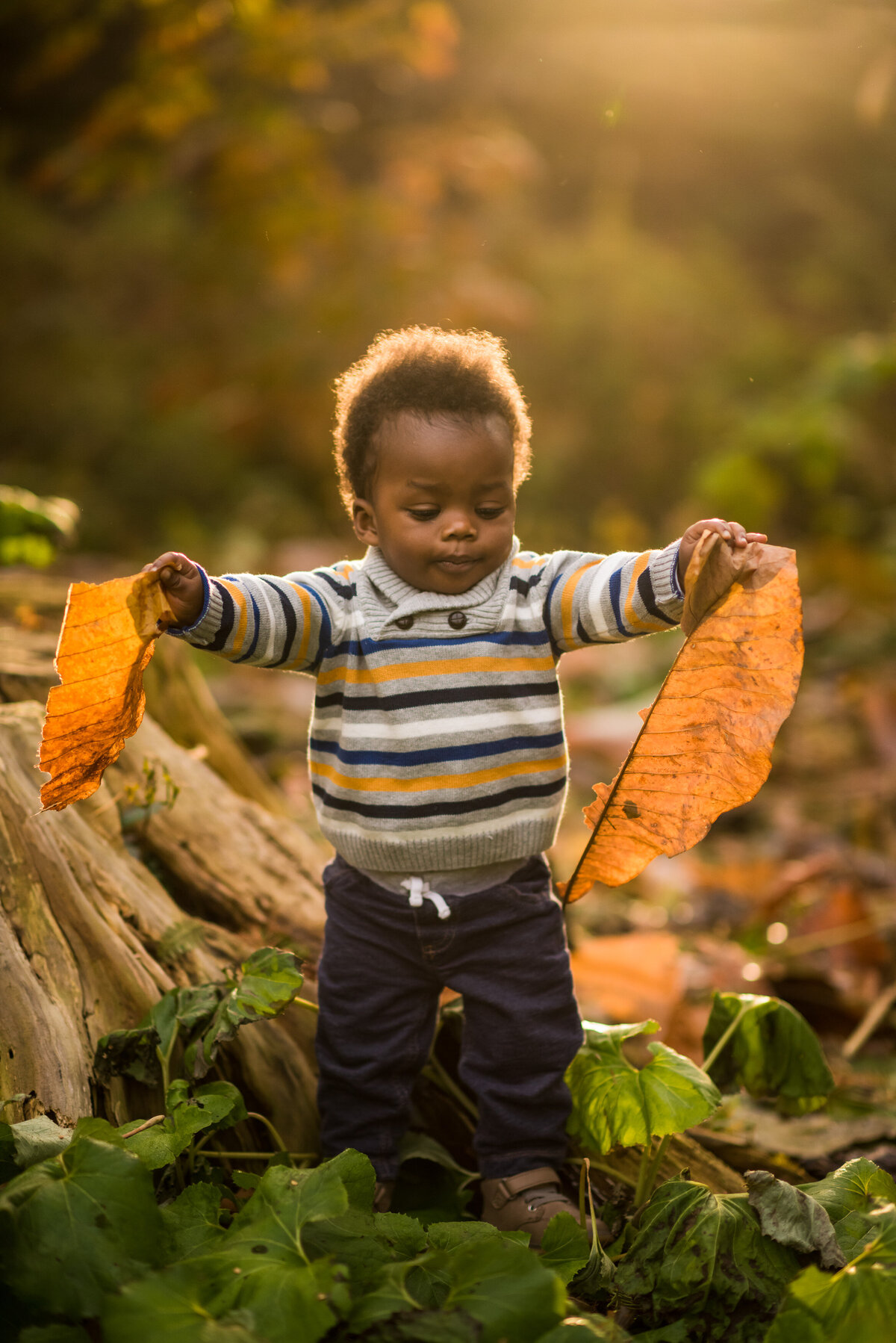 boy ripping a giant leaf