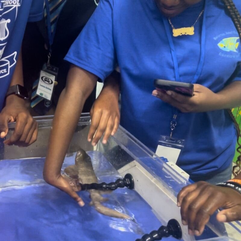 Gallery-students-bahamas-global-academy (28)