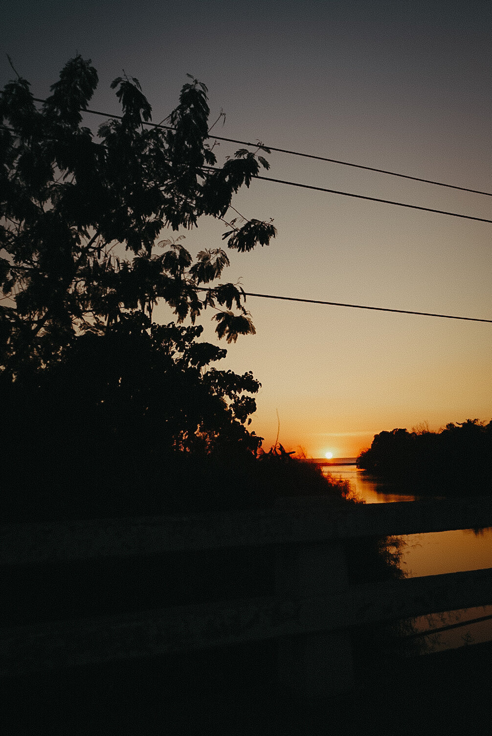 DSC02449