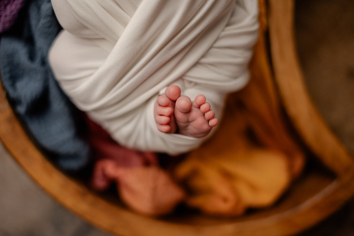 newborn photography NW Arkansas, best newborn portraits NW Arkansas