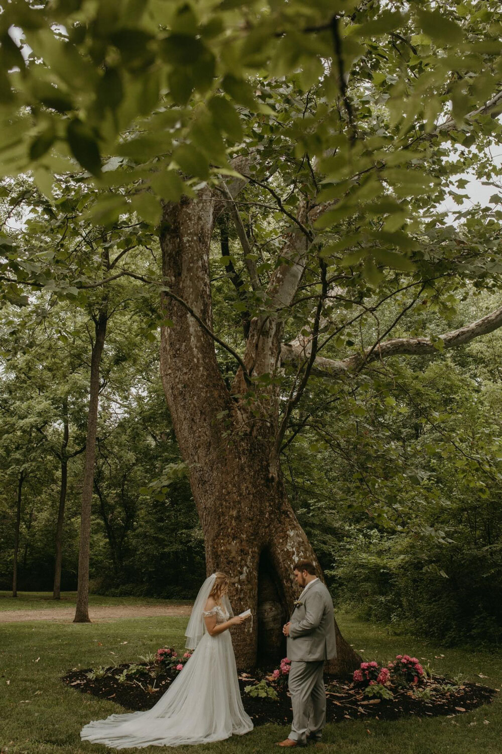 Bride and groom facing each other in front of the Sycamore Tree