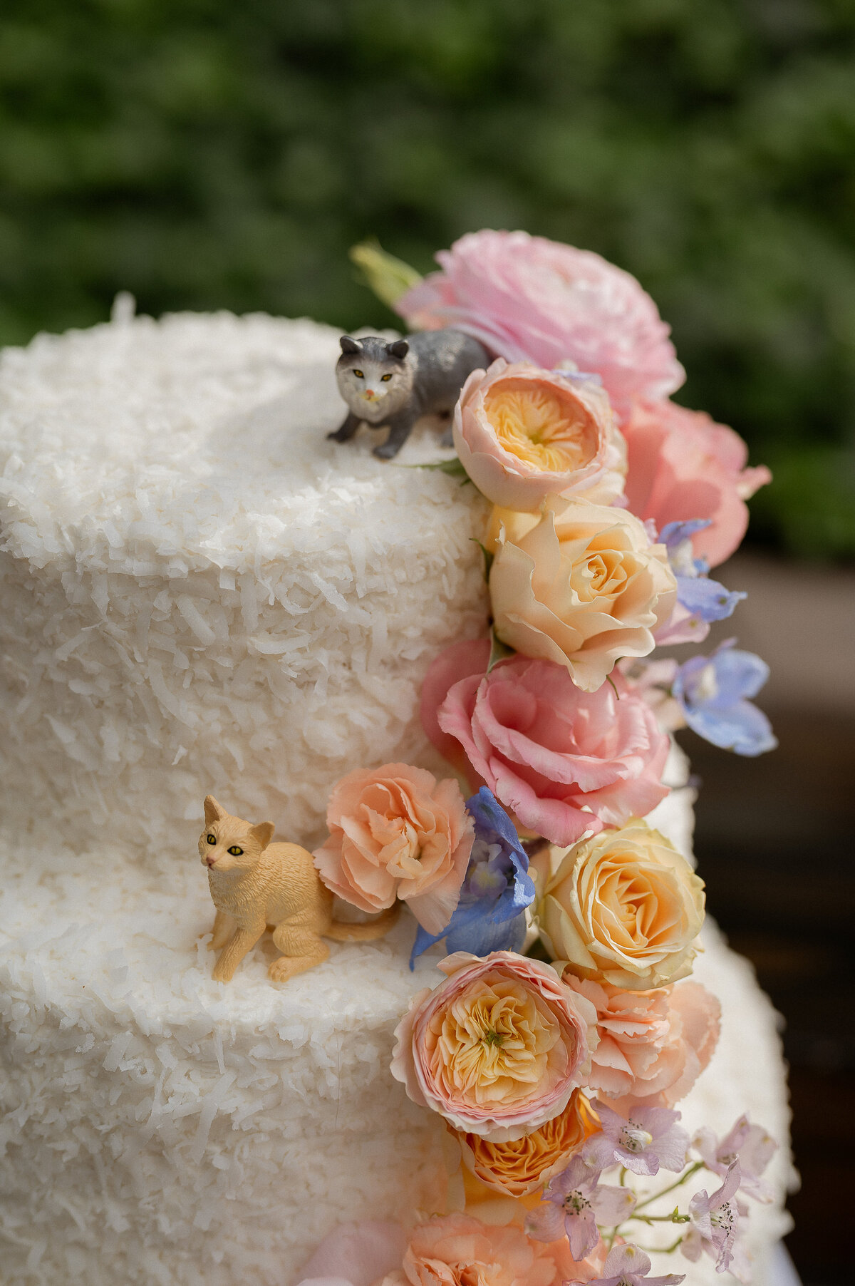abstillsphotography_weddingelopementphotographer-184