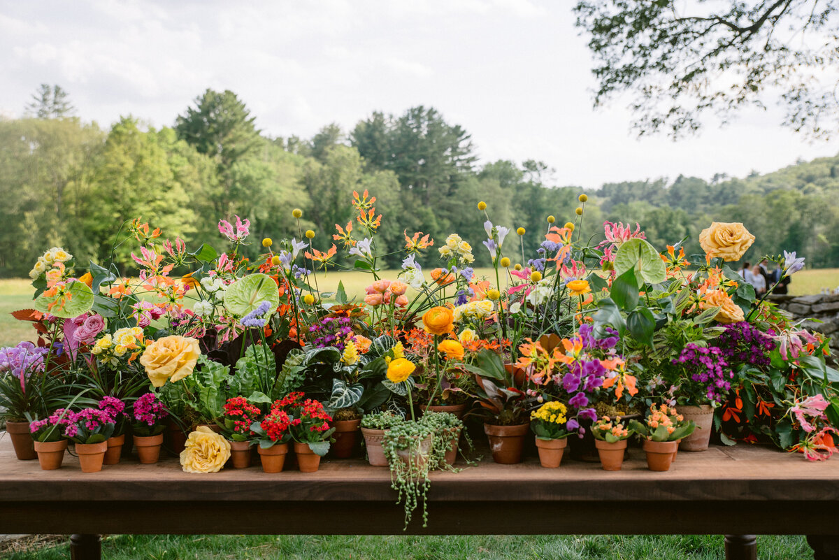 CCP_250621_SageWyatt_Wedding_8CocktailHour_0038