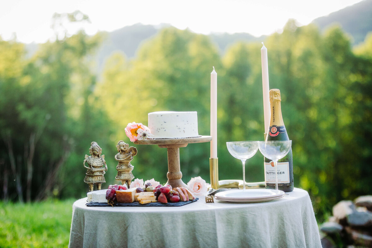 Hot-Springs-Cabin-NC-Elopement-9