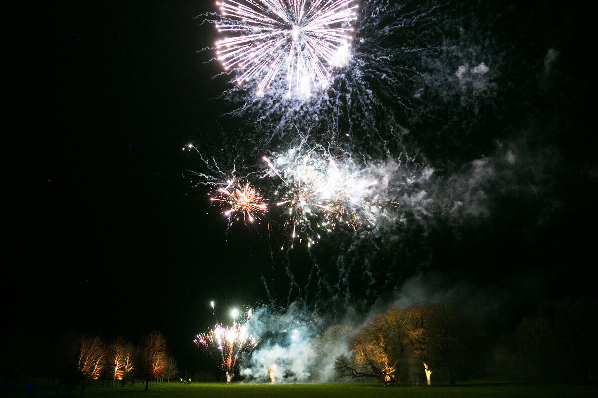 25 Wedding Planner Fireworks Display