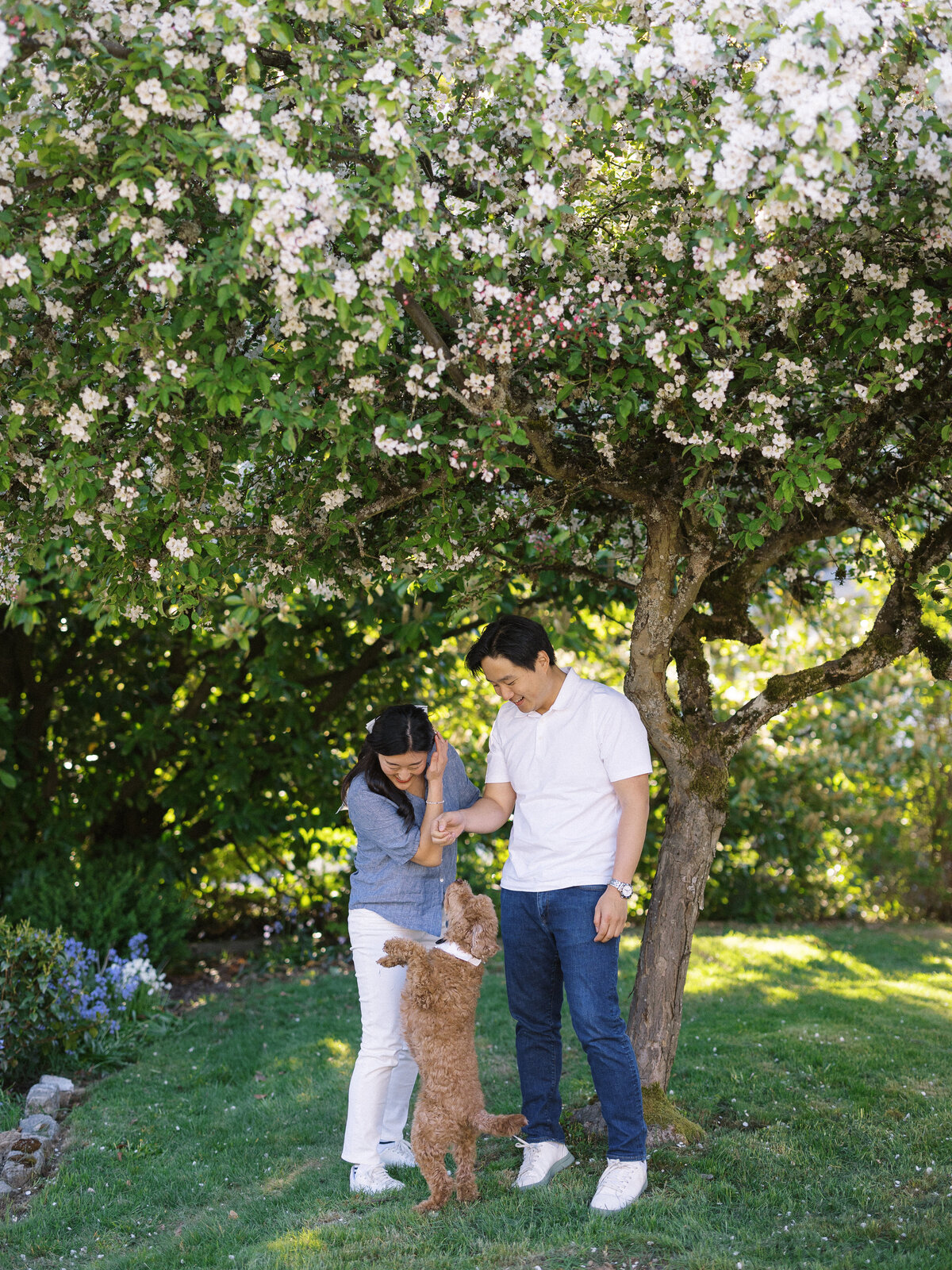 A&H Photo Co. A&S-267
