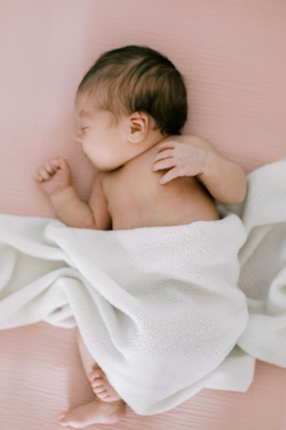 winston-salem-newborn-photographer5