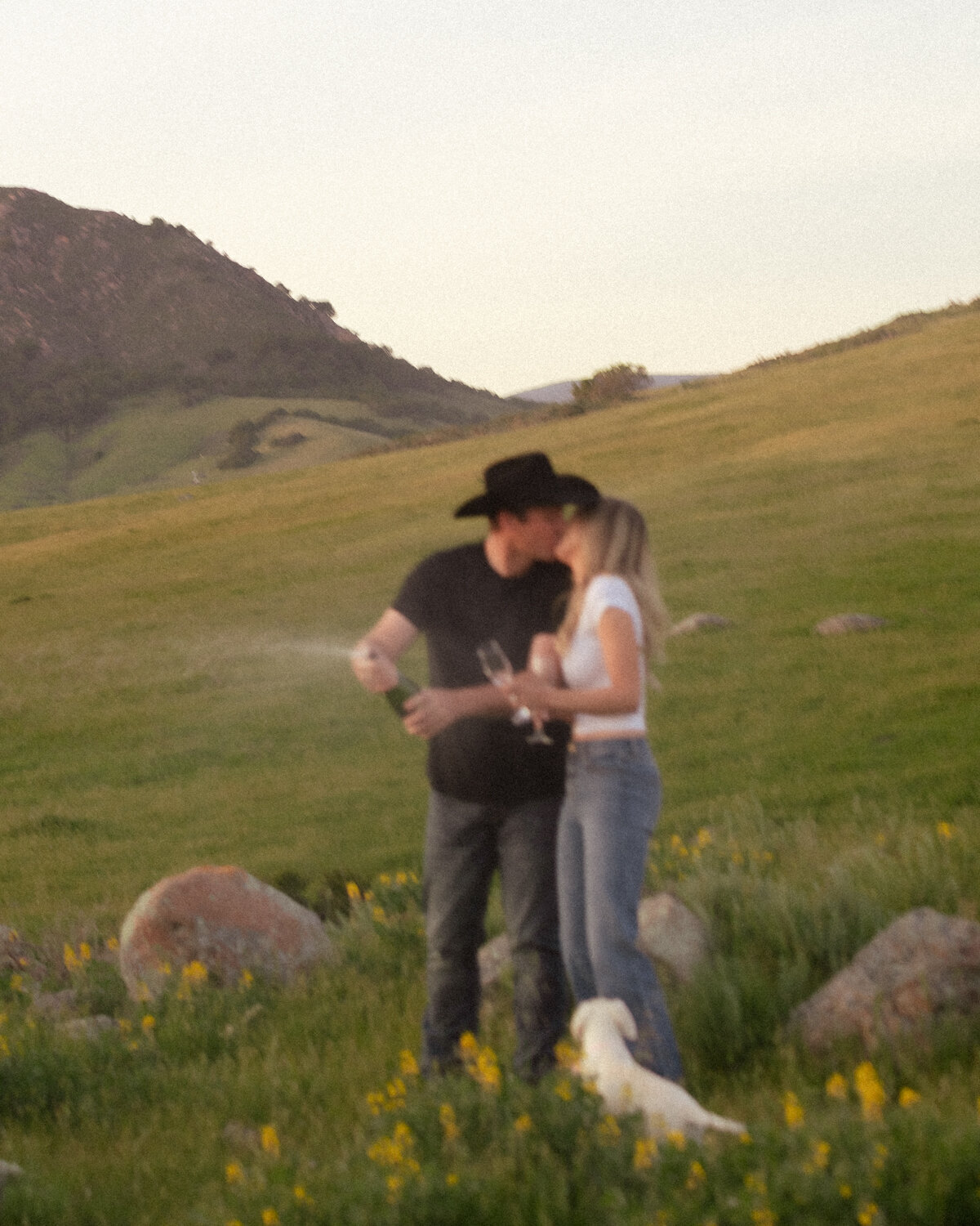 Candid couple during engagement photos in field kissing popping champagne in San Luis Obispo 