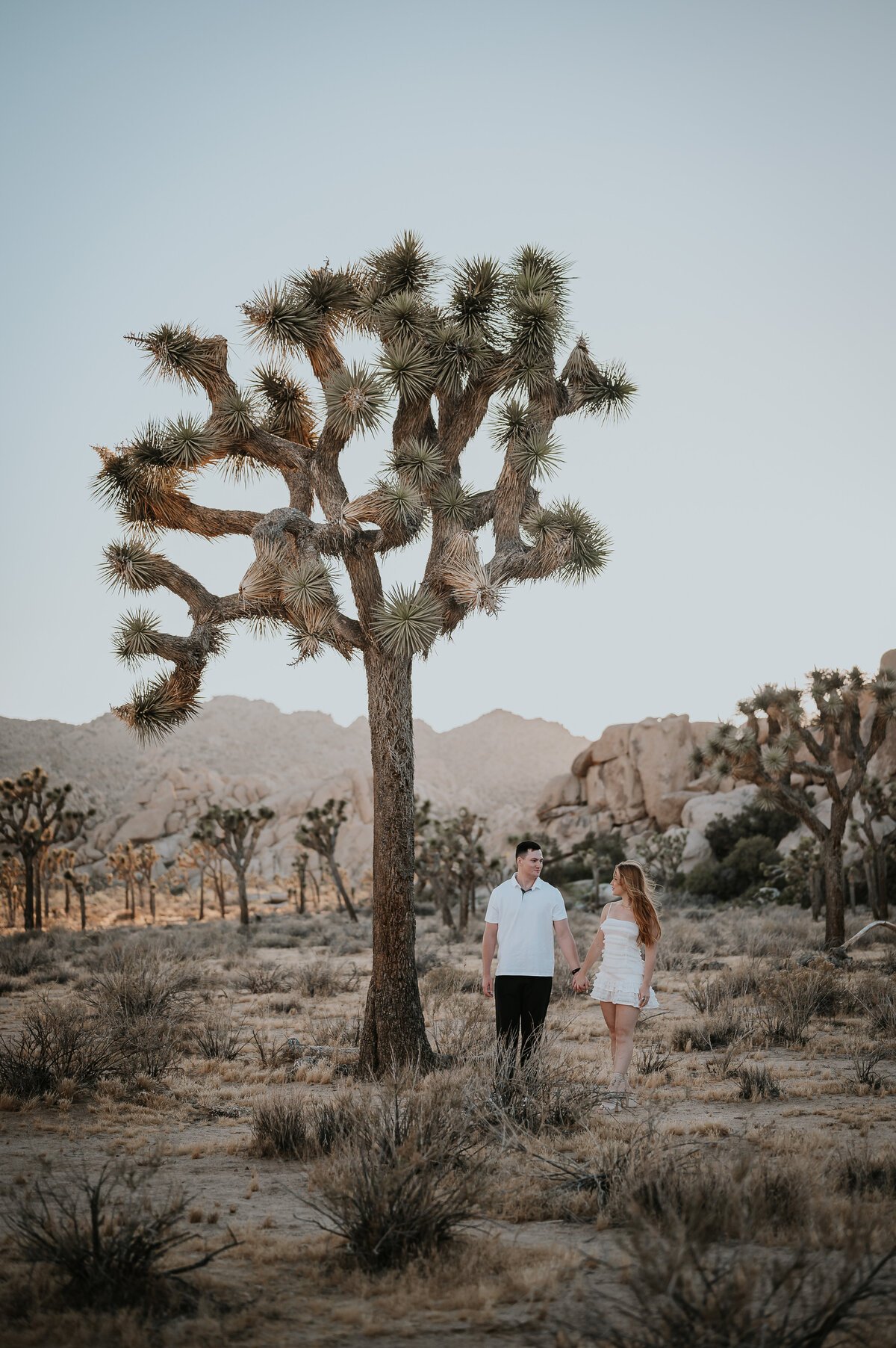 abstillsphotography_weddingphotographer-017