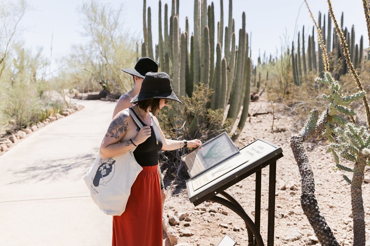 guests enjoy the desert botanical garden