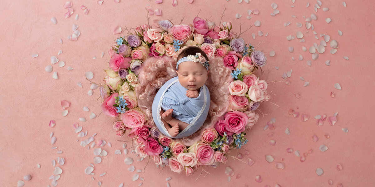Sleeping newborn baby girl wrapped in soft blue and posed inside a heart-shaped floral arrangement of pink roses and petals on a blush backdrop.