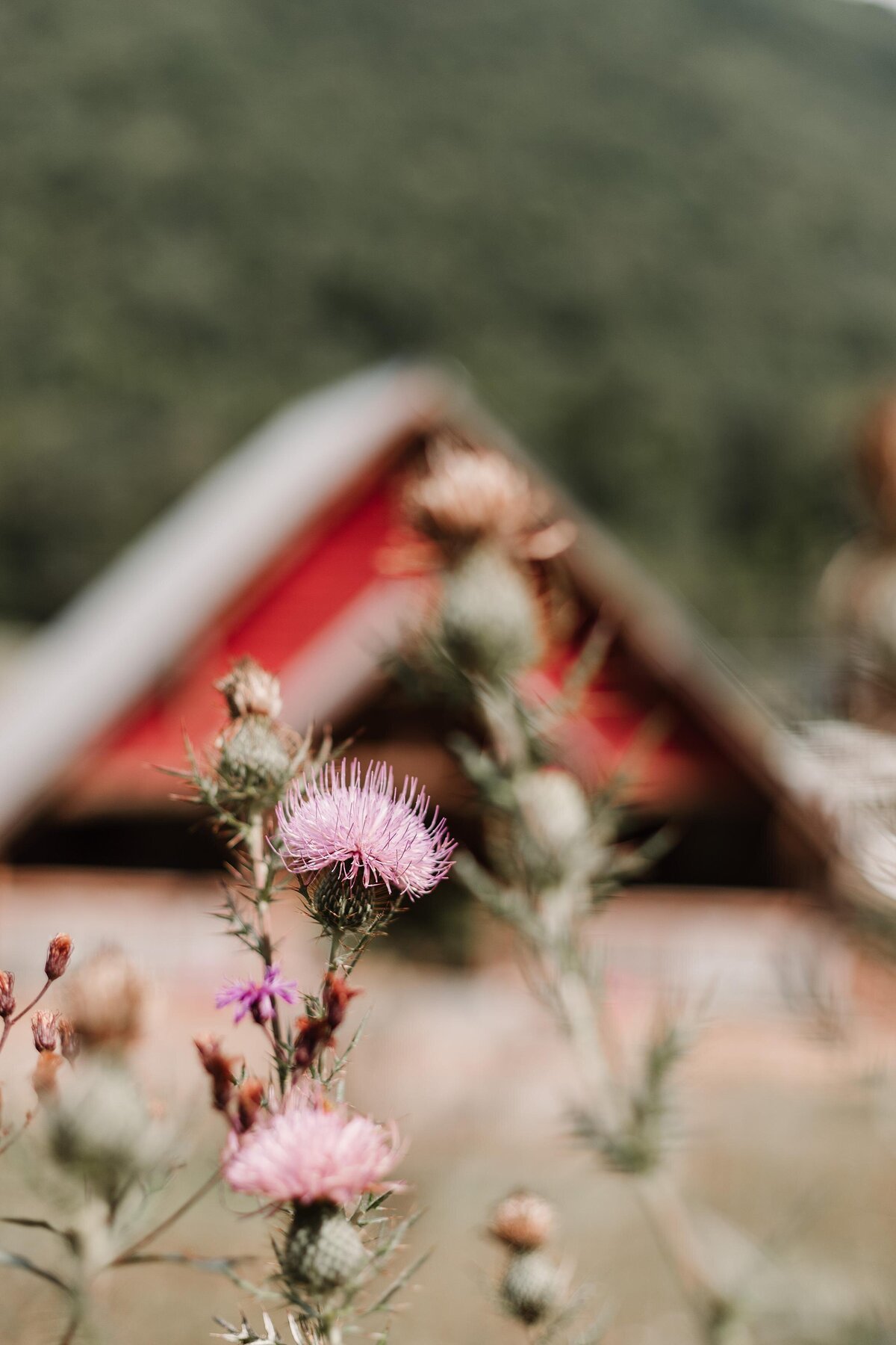 Barn 697 North Carolina Elopement Venue_0009