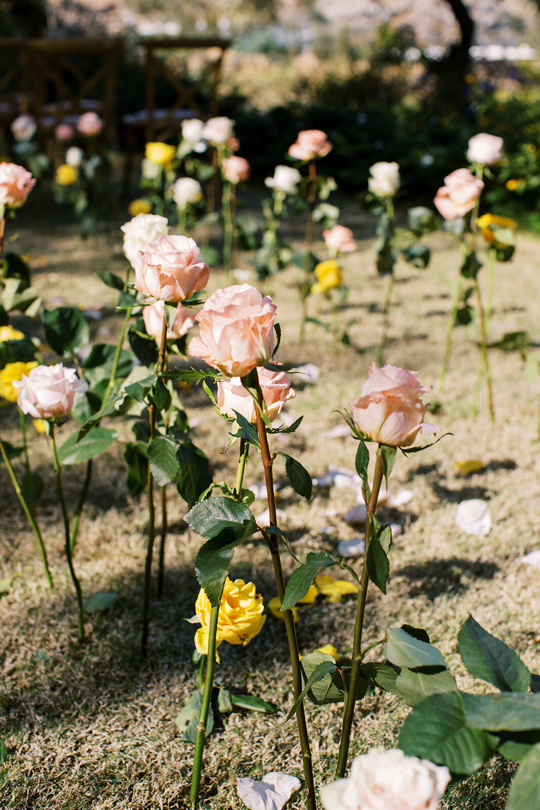 Lindos Wedding Rhodes Greece - Garden style (12)