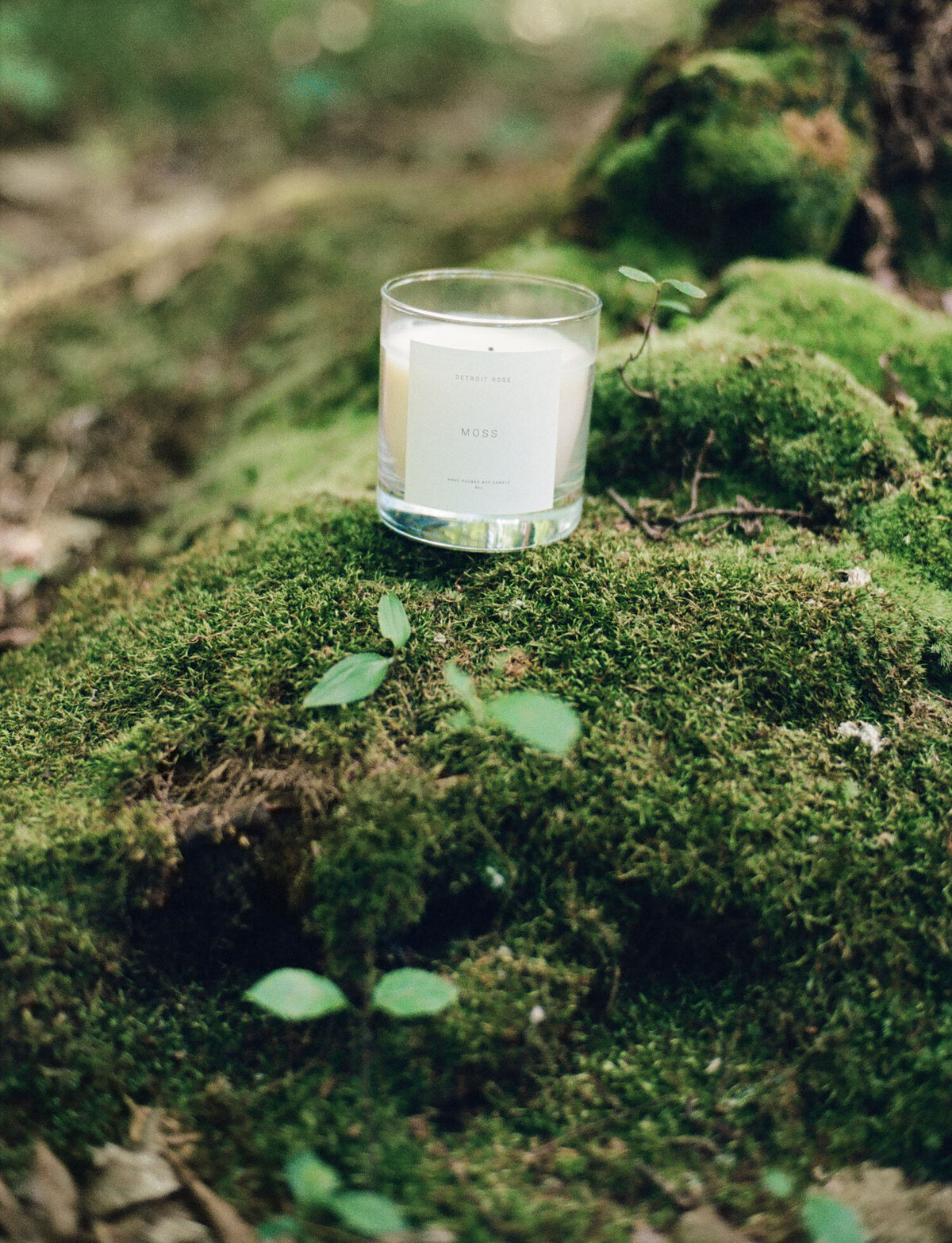 Detroit Rose Moss candle on moss in woods, forest, film branding photo for scent, candle company