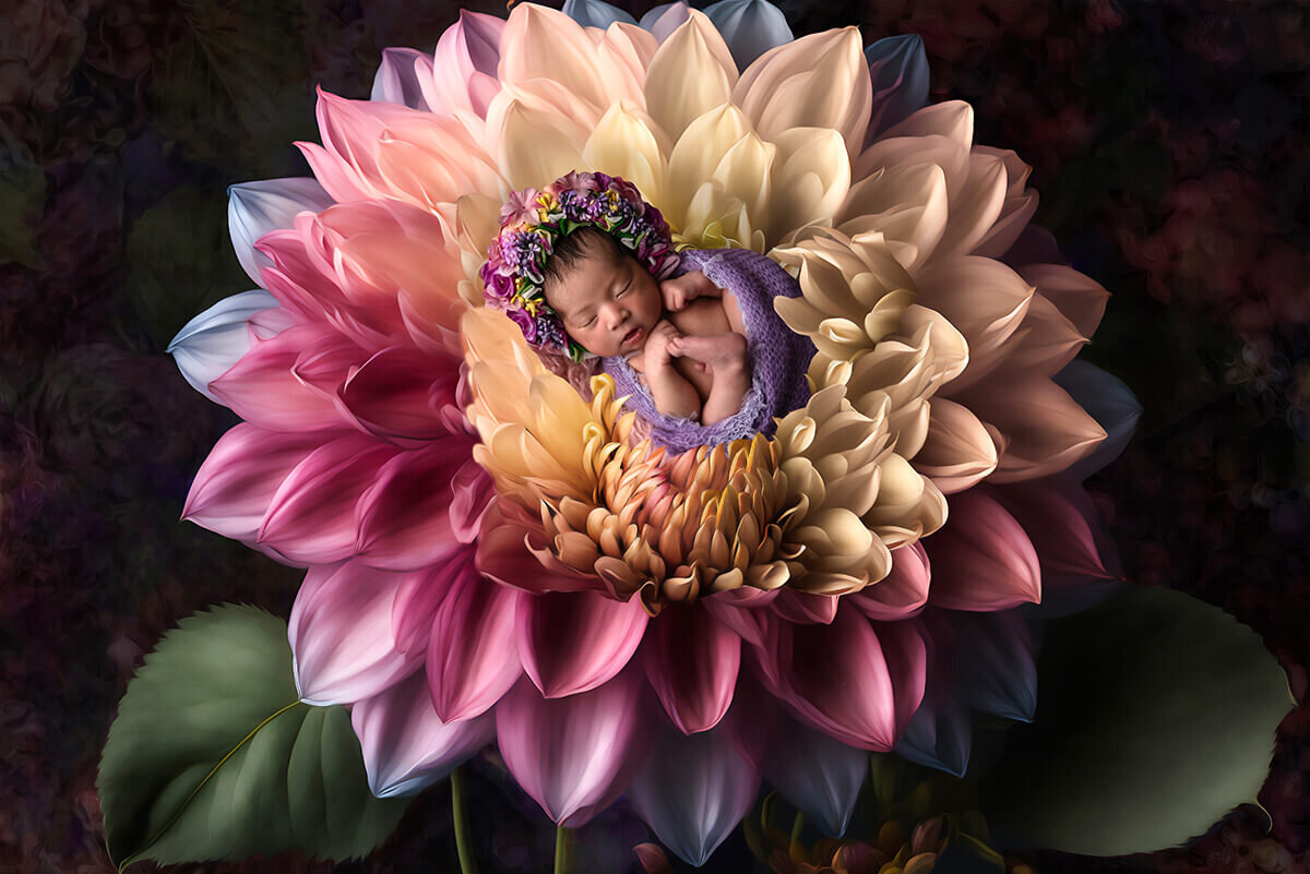 newborn baby in a flower petal