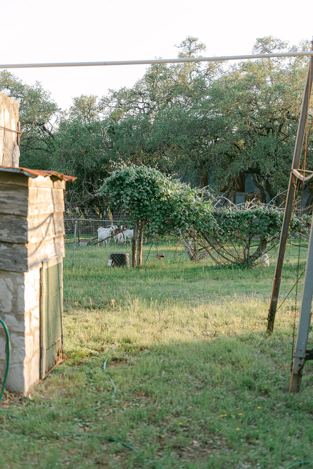Luxury_Wedding_Photographer_Texas_Erin_Marcin_Photography_Film-74