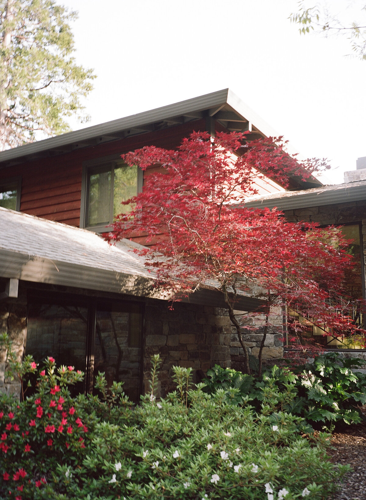 CAITLIN+CALVIN-LI-736