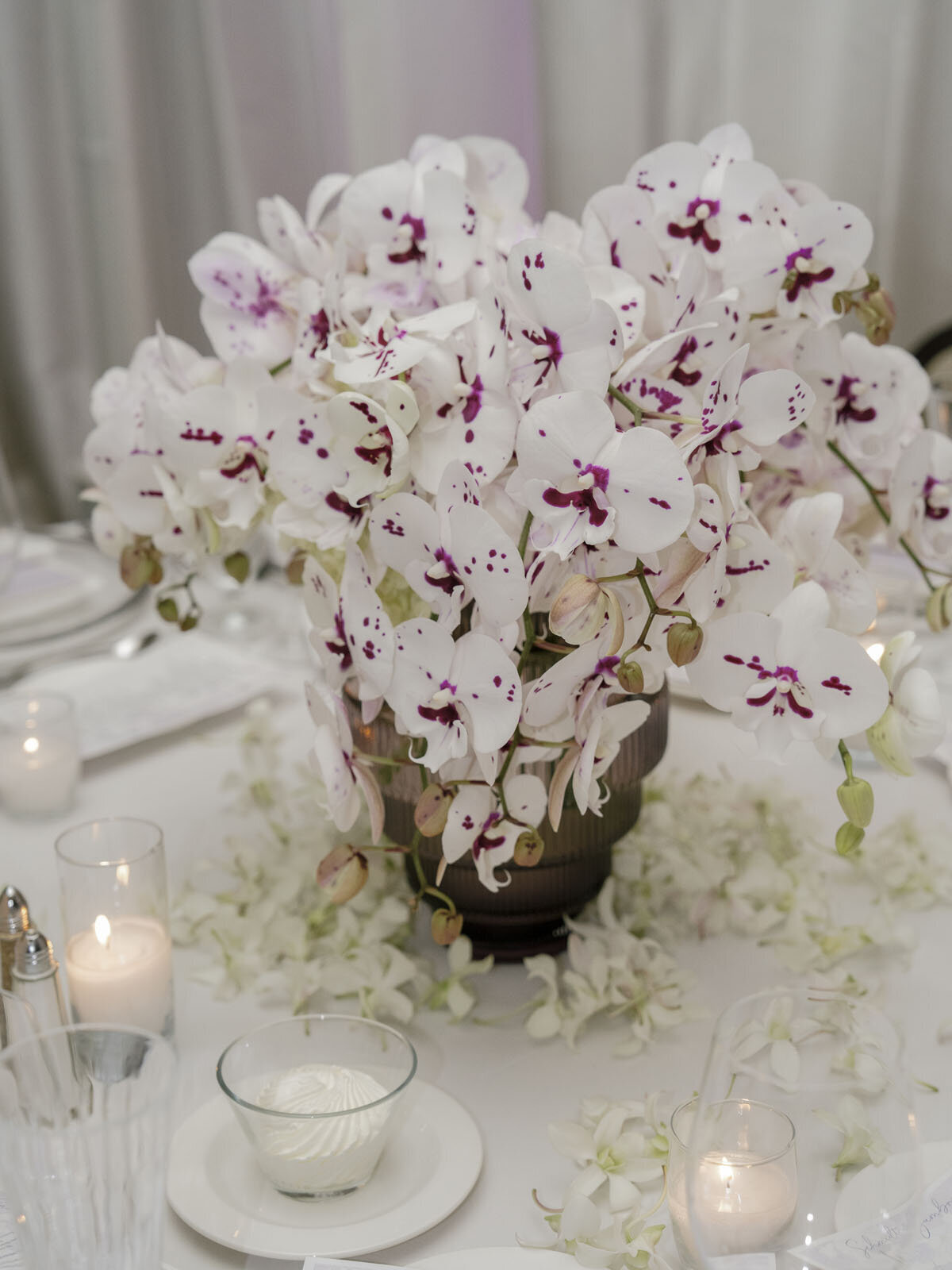 amandacallawayphoto-1293