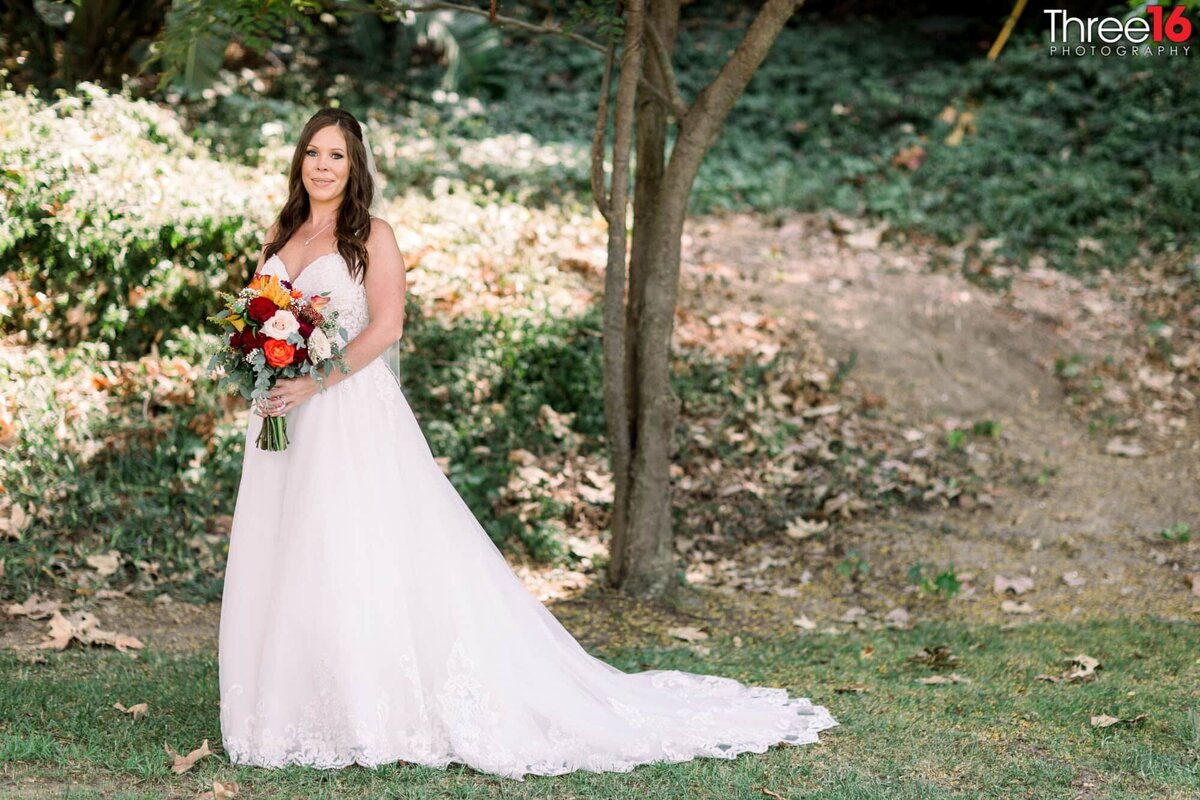 Bride poses for photos while her dress train is fanned out on the lawn
