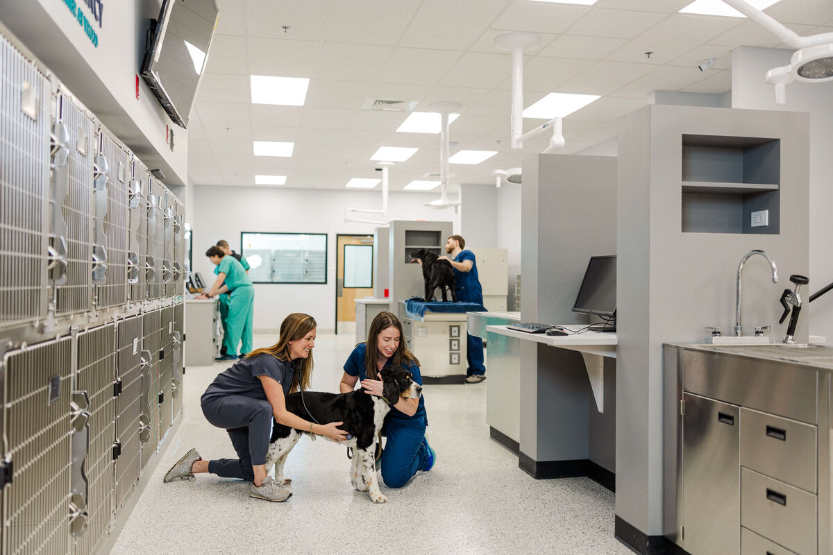 headshot-photographer-branding-photography-bend-or-96