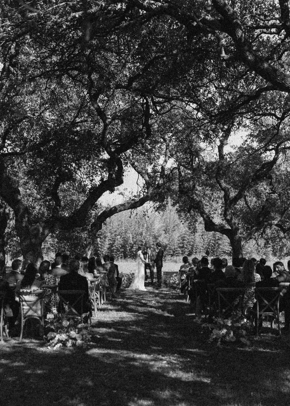 Wedding ceremony under the trees at  Mattie's Austin