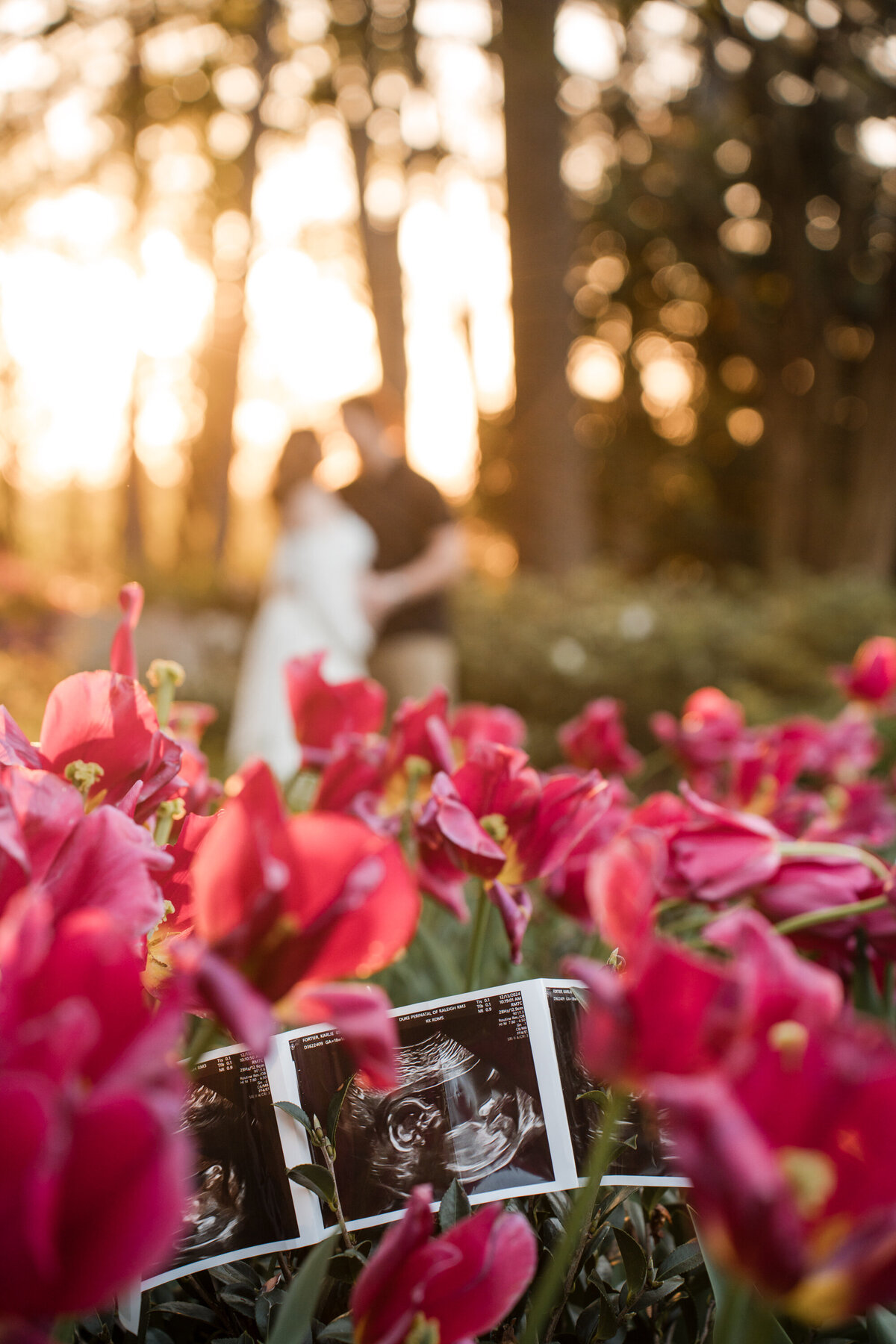 raleigh maternity photography