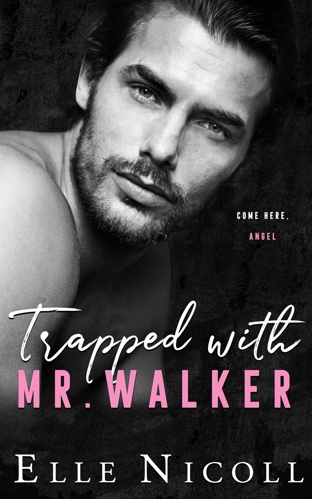 Trapped with Mr. Walker Ebook