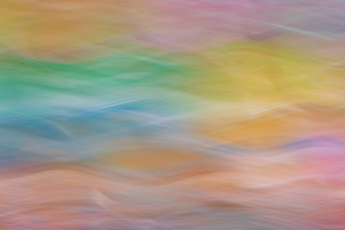 Rainbow-ICM-Garden-Arizona-Desert-Botanical-Bifrost-Abstract-Chrissy-Donadi-Landscape-Photography-3