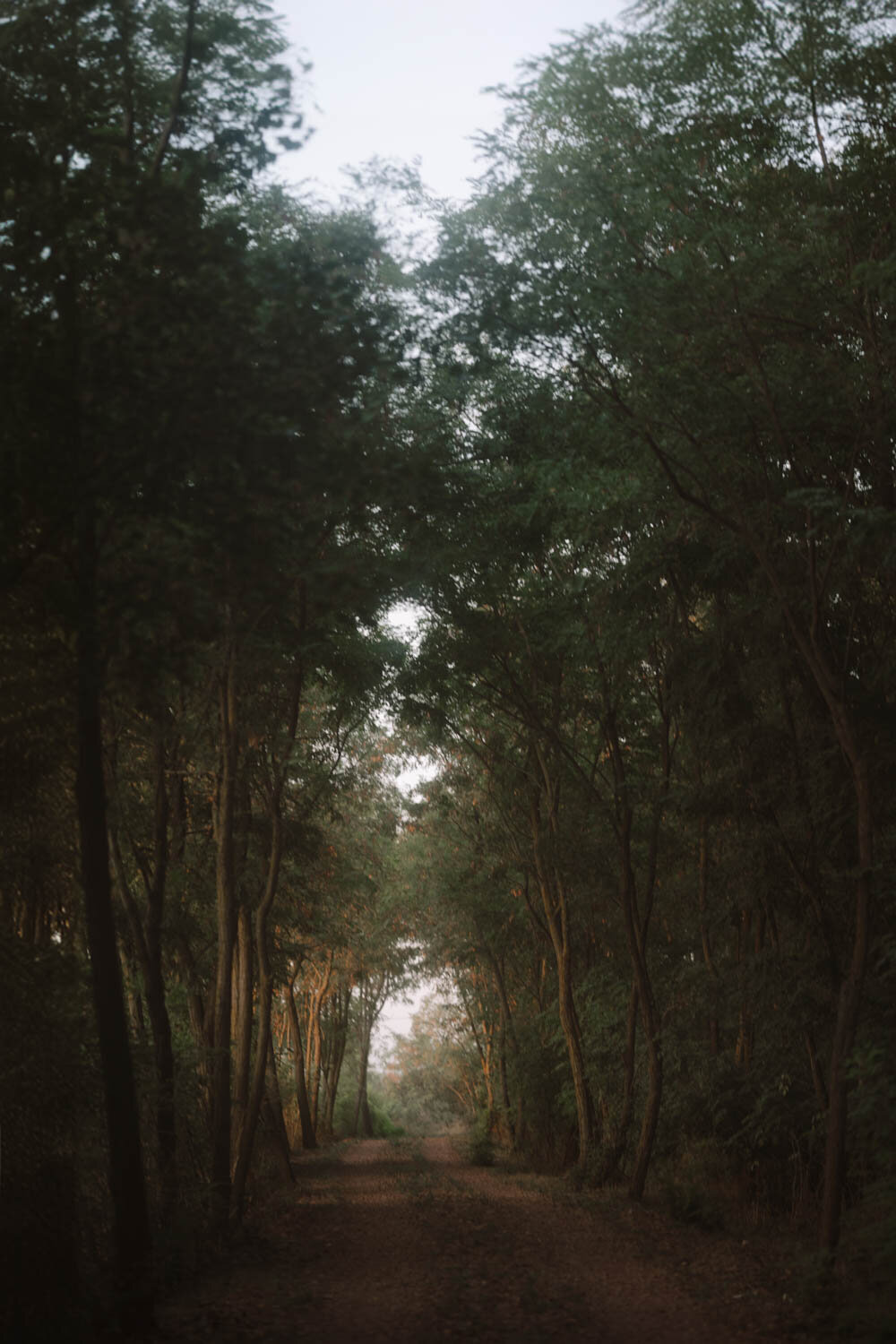 dorafazekasphoto-23