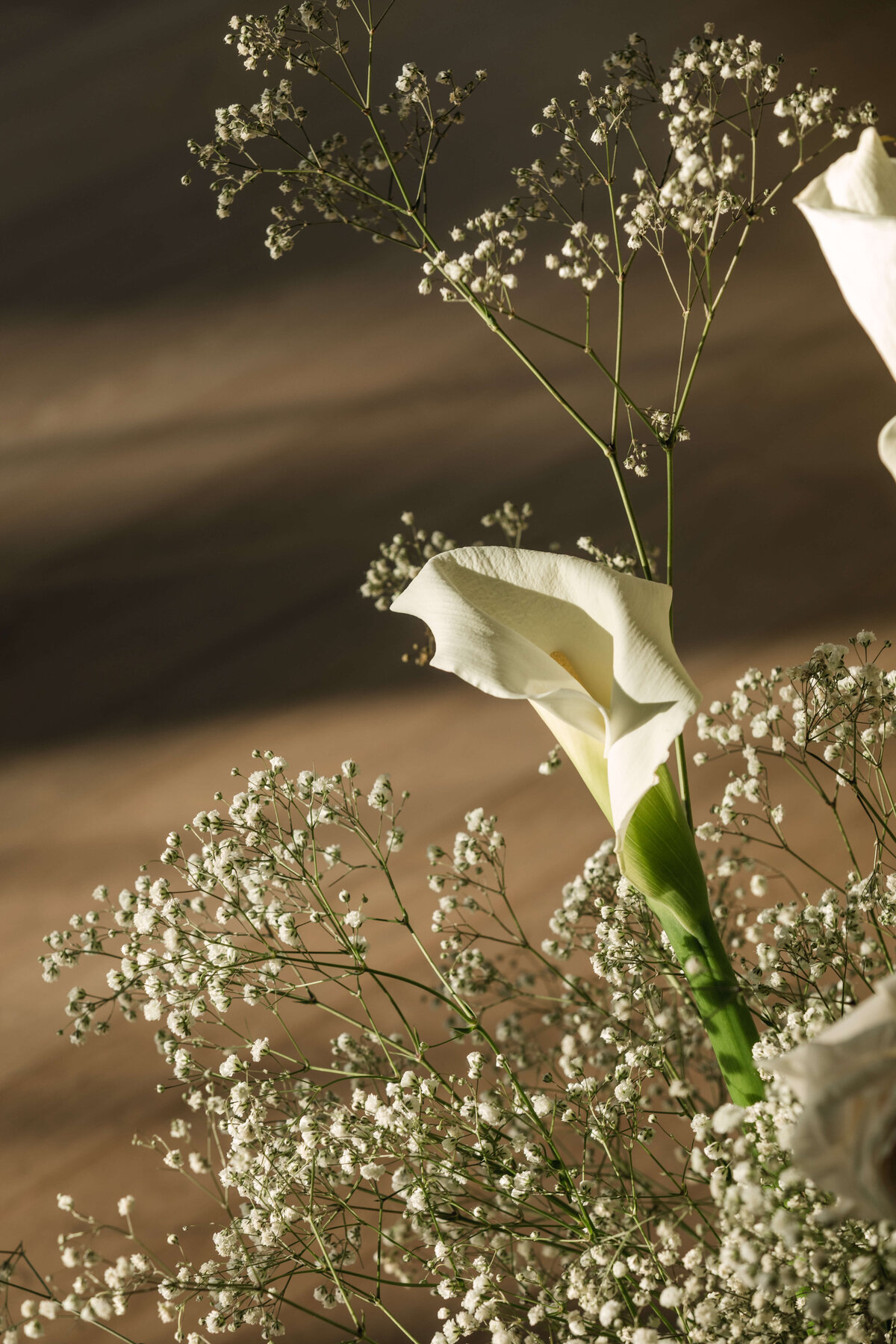 Alyssa_Flood_Photography_Yeonwoo_Stephen_Wedding-41