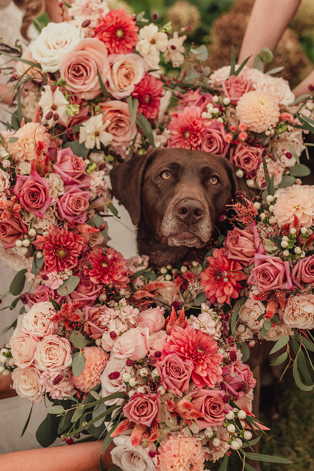 OLIVESAGEPHOTO-13_websize