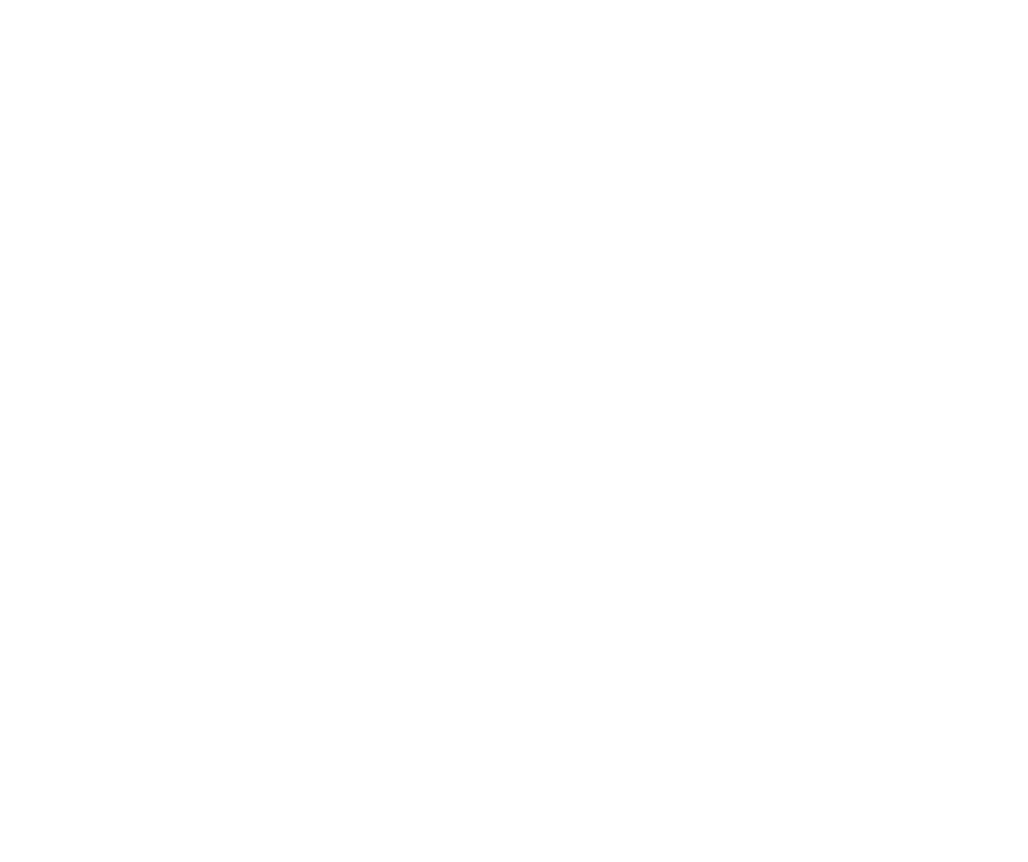 air raro logo