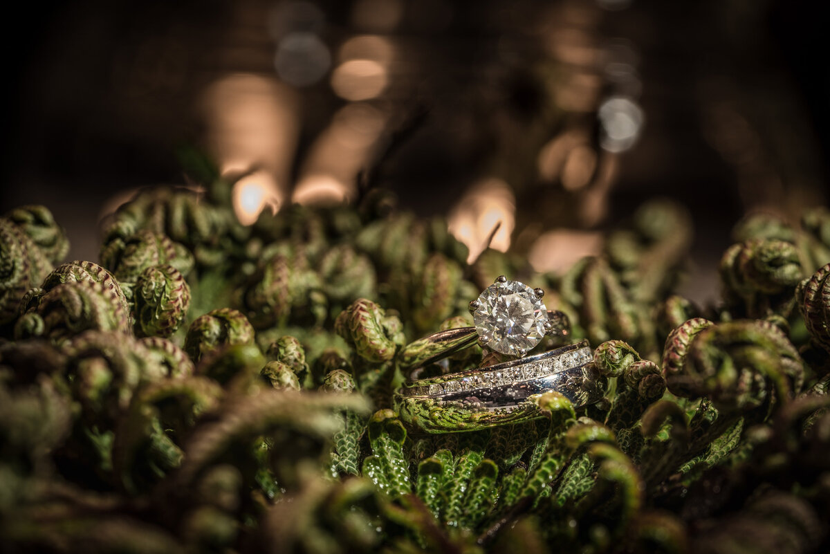 Thurgau-Hochzeit-Fotograf-Filmer-Ringe