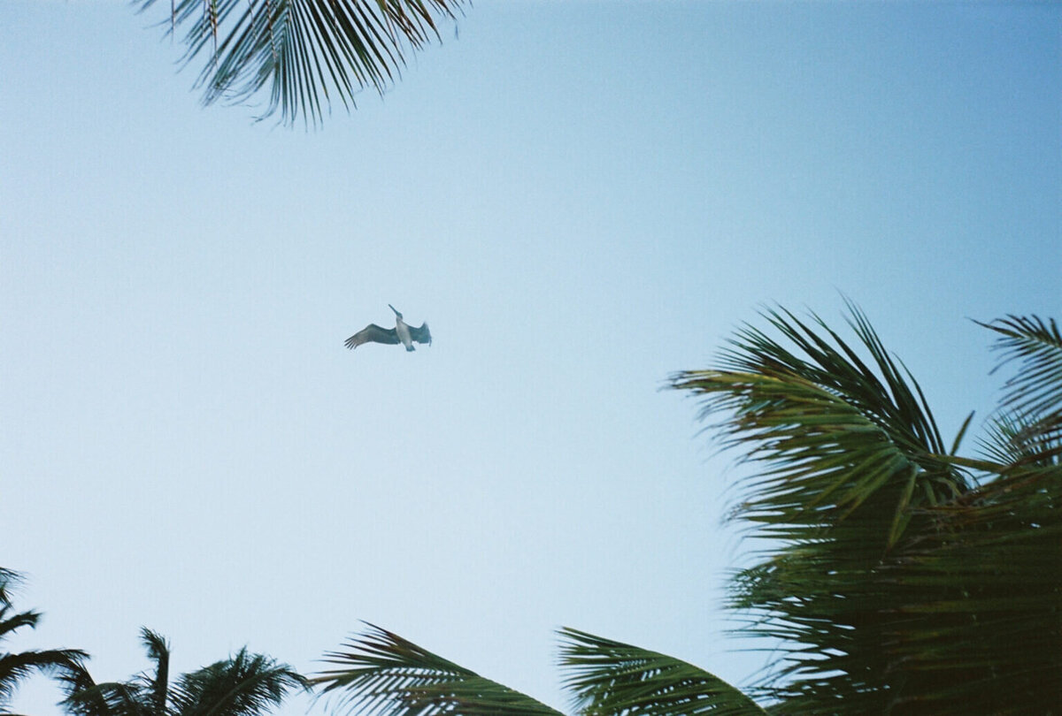 Cabo-San-Lucas-Wedding-Photographer-37