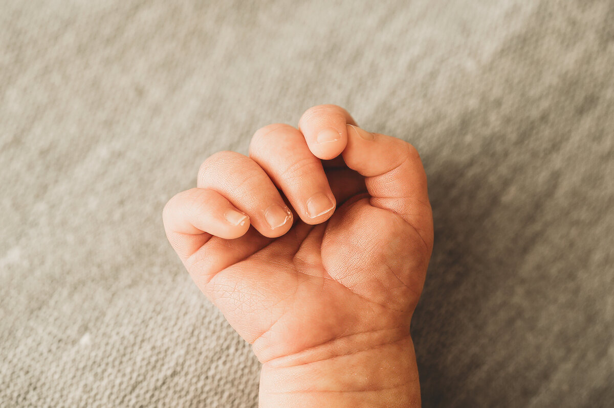 bismarck-studio-newborn-hamilton-3756
