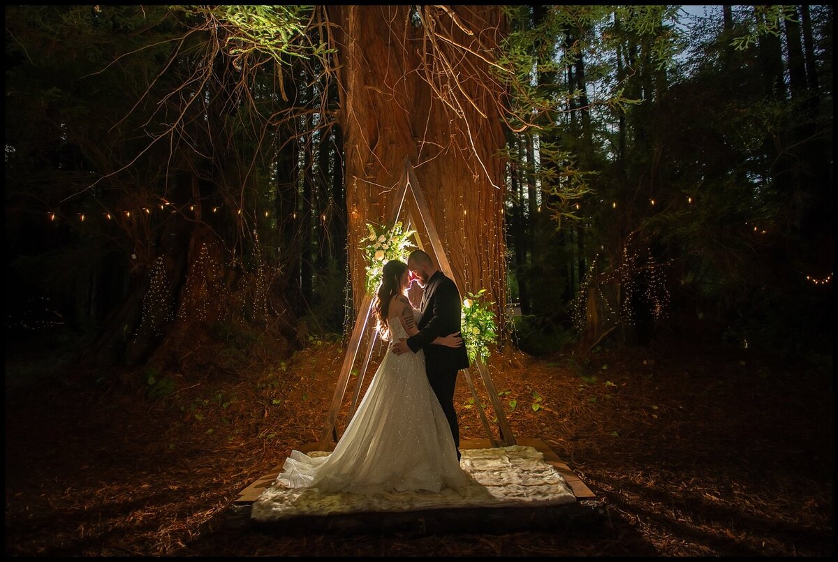 MagicalRedwoodWedding_Avenueofthegiants_Parky'sPics_Intotheredwoods_0027