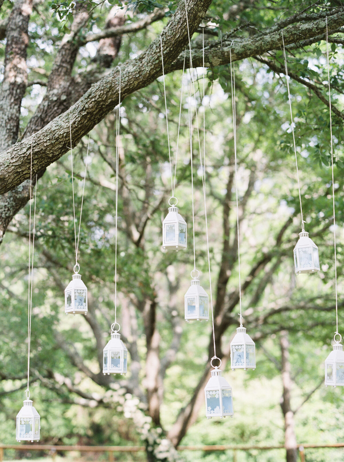 Emily March Photography Wilmington, North Carolina and Destination Wedding Engagement Photographer Heirloom Photography for Memorable Gatherings Light Airy Sentimental Imagery Images Weddings WeinsWedding_0495