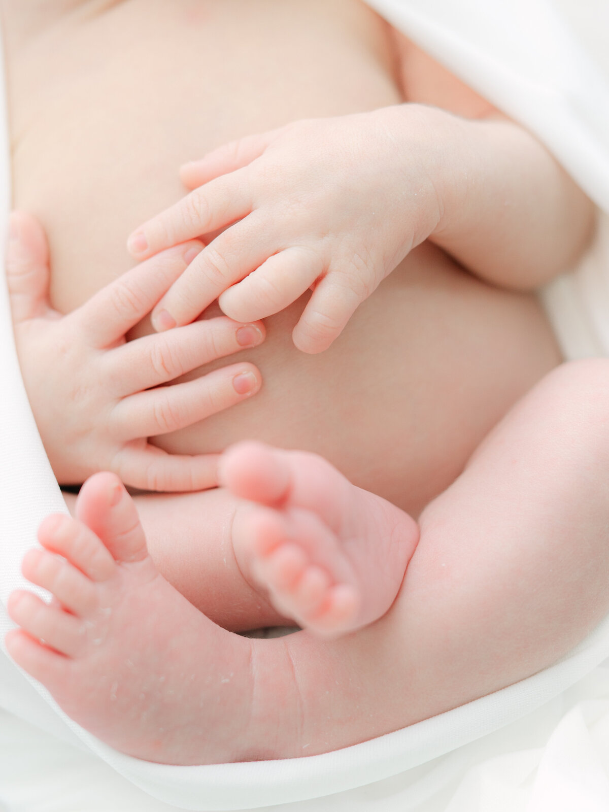 baby toes and hands by Raleigh newborn photography 