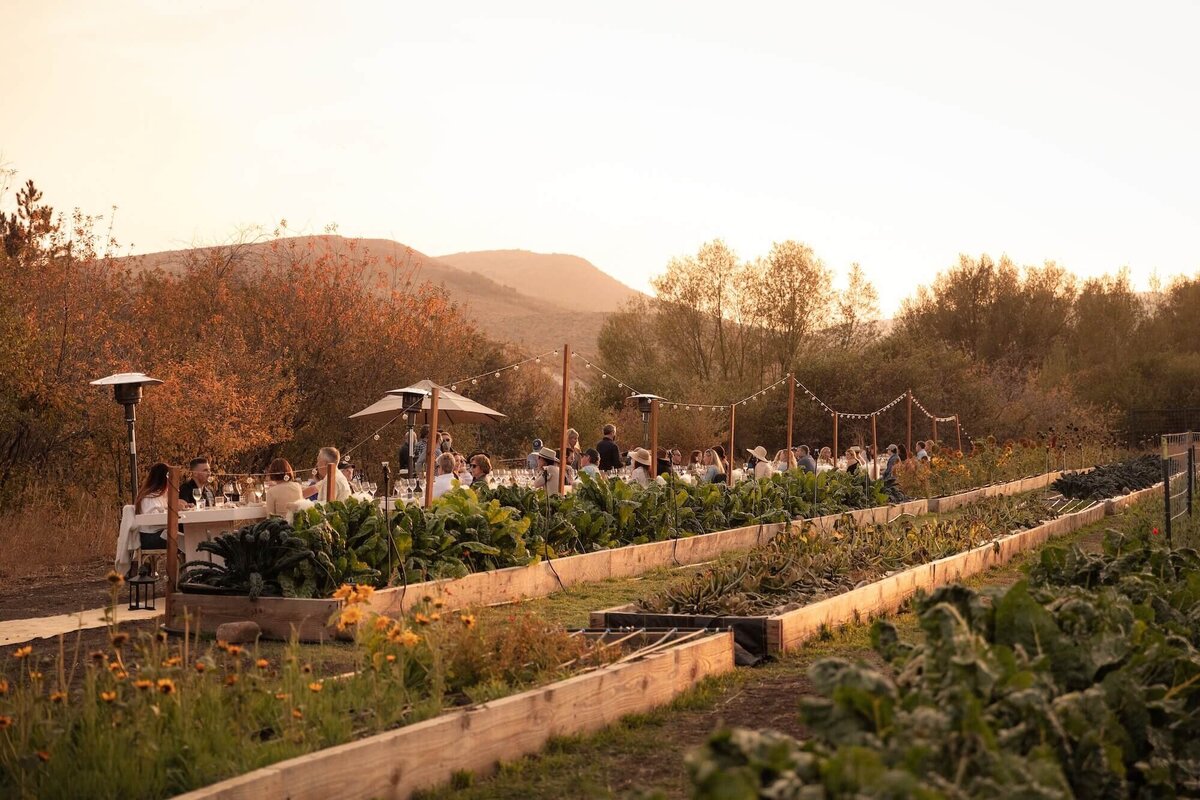 BSK_Experiences_Harvest-Dinner_2022-2 (1)