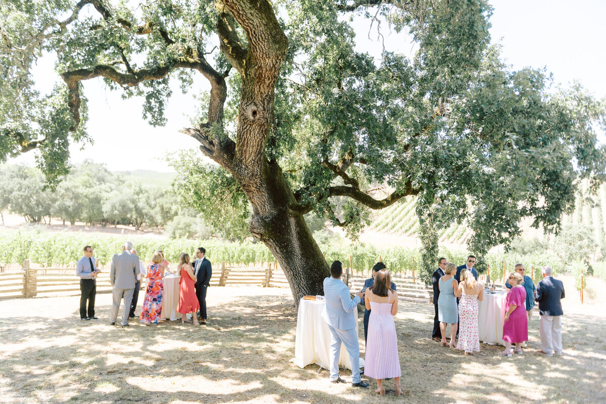 0411_gretchen_gause_photo_healdsburg_wedding_Arista_Winery_Little_Saint_2024-