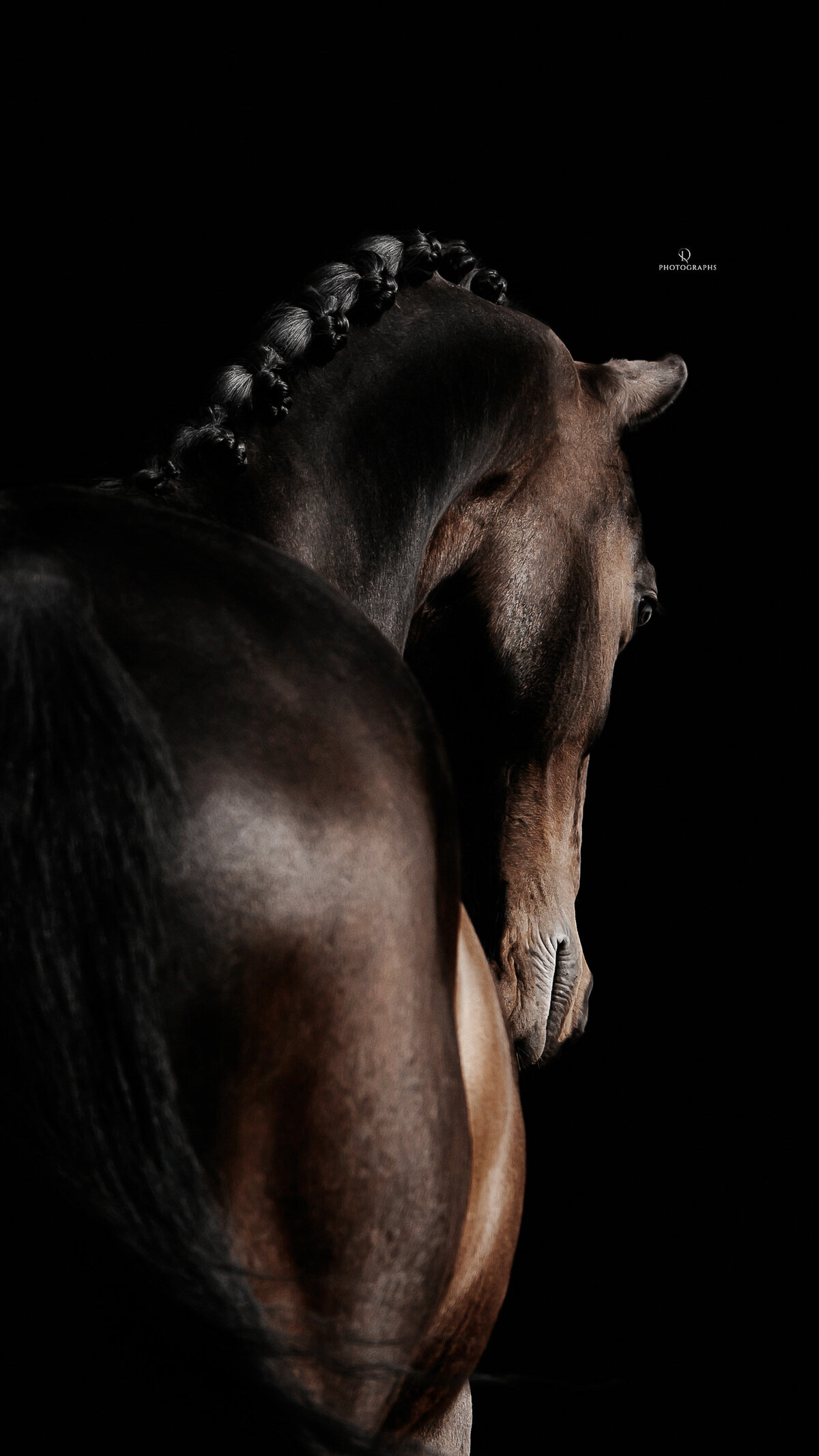 Fine-art fotografie met paard